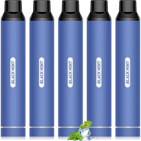電子タバコ 使い捨て VAPE 鬼ミント風味 25000回吸引可能 5本入り 大