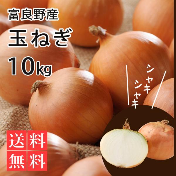 玉ねぎ 10kg 北海道 富良野産 産地直送 送料無料 新玉ねぎ