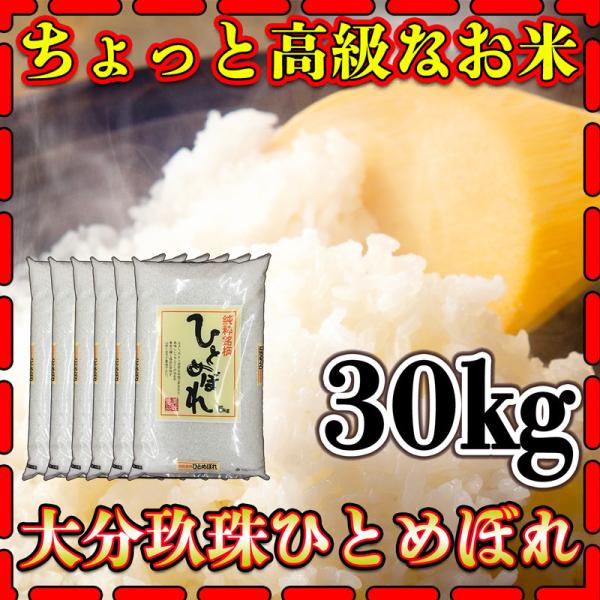 ひとめぼれ お米 米 30kg 白米 送料別 最短 大分県 玖珠産 高級米 令和