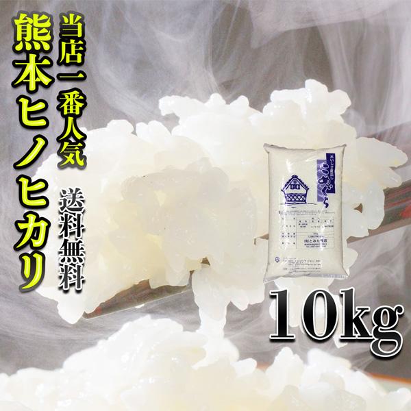 お米 米 10kg 白米 富田商店一番人気 熊本県産 ひのひかり あすつく 新米 令和4年産 ヒノヒカリ 10kg1個 くまもとのお米 富田商店 とみた商店