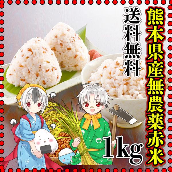 お米 米 1kg 玄米 送料無料 熊本県産 赤米 無農薬 令和4年産 古代米 くまもとのお米 富田商店 とみた商店