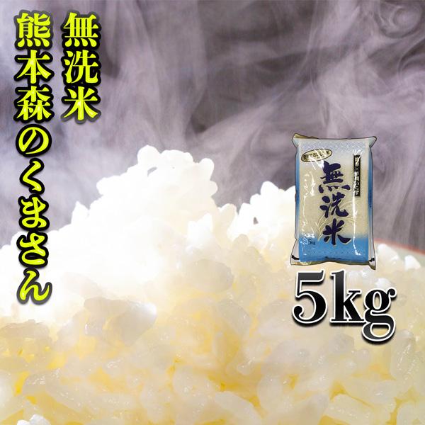 森のくまさん お米 米 5kg 白米 送料別 最短 無洗米 熊本県産 令和7