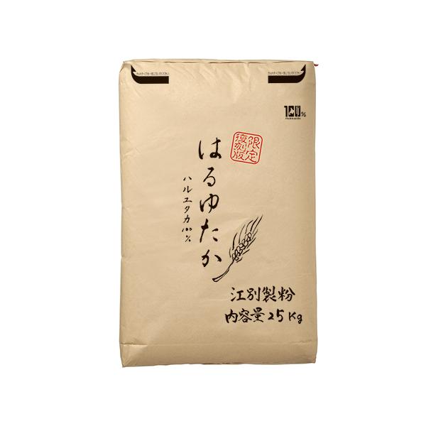 ͂䂽100@25kg / 25kg xVX 