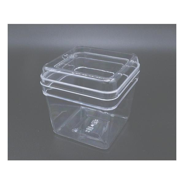 y񂹁zNAP[X@XNEFAJbv@@t^t / 2 xVX 