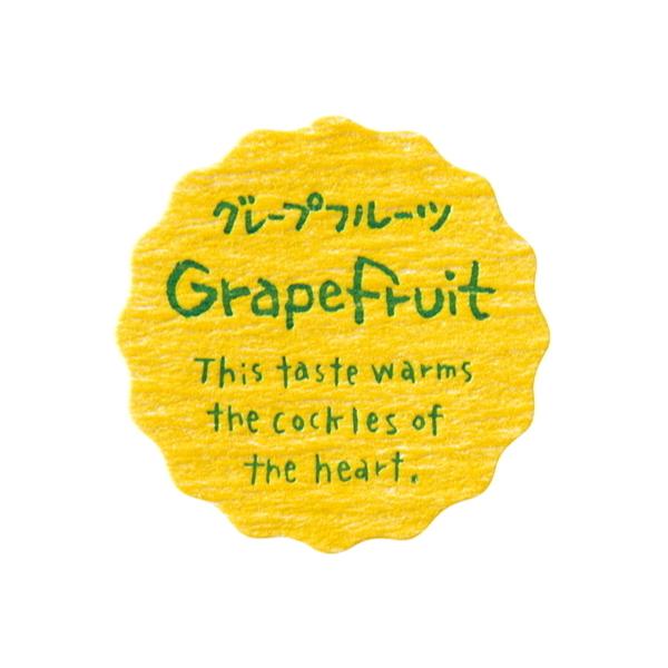 y񂹁zi`eCXeBV[@O[vt[c / 24 xVX 