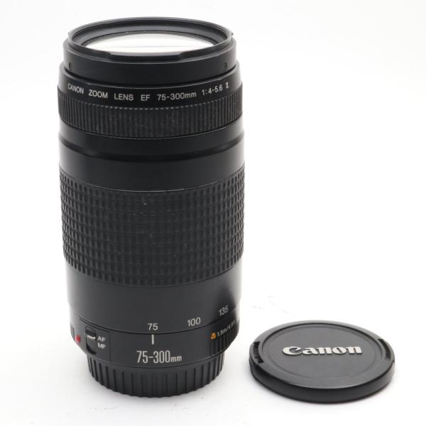 Canon キヤノン ズームレンズ EF 75-300mm F4-5.6 II USM
