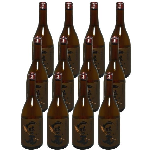 麦焼酎 一粒の麦 720ml 12本セット 送料無料 クーポンでさらにお得 