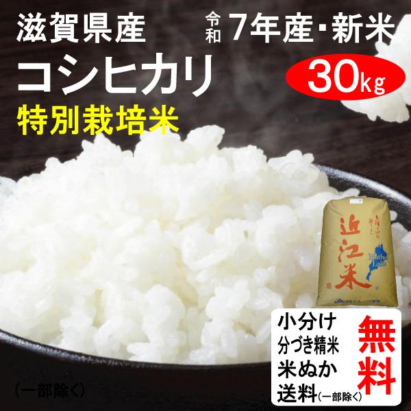 【限定ご奉仕価格】滋賀県産　1等米コシヒカリ　30kg 限定ご奉仕価格】滋賀県産 1等米コシヒカリ 30kg
