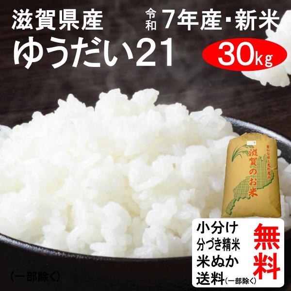 新米 30kg 令和7年 送料無料 滋賀県 ゆうだい21 1等玄米