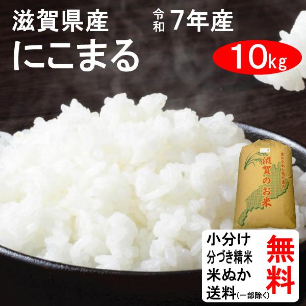米 10kg 令和7年 送料無料 滋賀県 にこまる 1等玄米