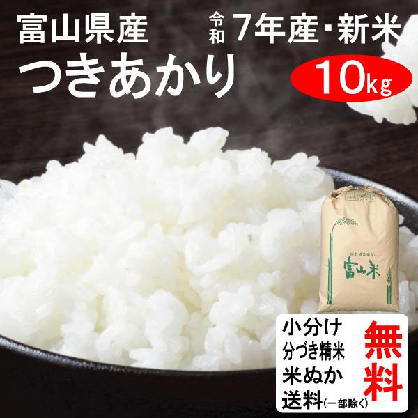 新米 10kg 令和7年 送料無料 富山県 つきあかり 2等玄米 : お酒