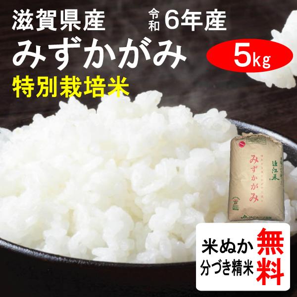 白米 みずかがみの人気商品・通販・価格比較 - 価格.com 白米 みずかがみの人気商品・通販・価格比較 - 価格.com