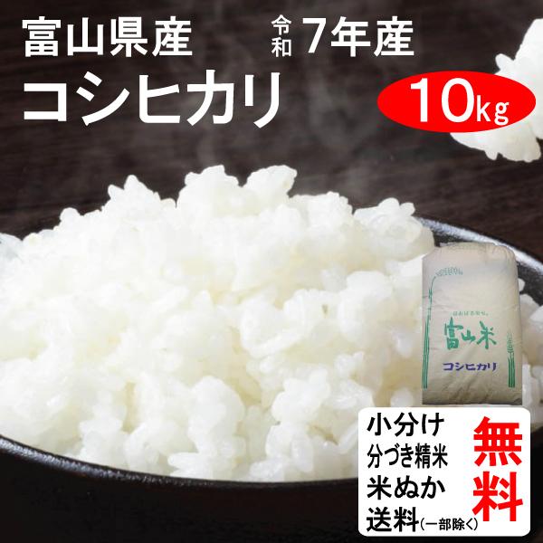 爆買 米 10kg 令和7年 送料無料 富山県中新川郡立山町 コシヒカリ 1等玄米