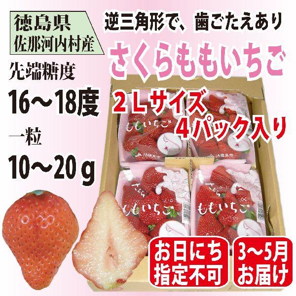 いちご さくらももいちご イチゴ 苺 2Lサイズ 4パック入り 送料無料 配達日指定不可ですがお得