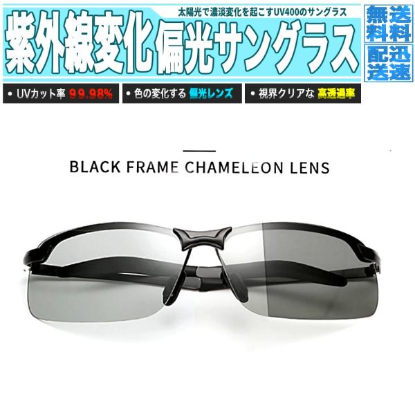 サングラスの太陽 tomokore_19fas08bk-001