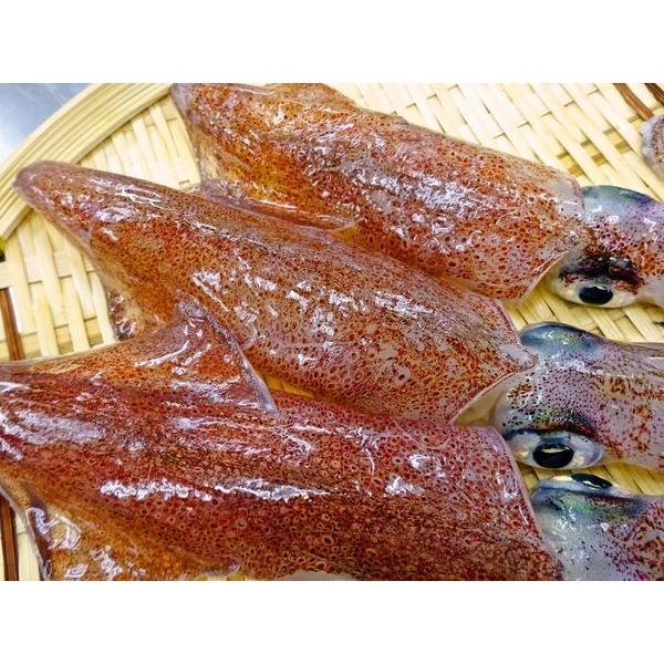 松いか 剣先 味噌漬け Buyee Buyee Japanese Proxy Service Buy From Japan Bot Online