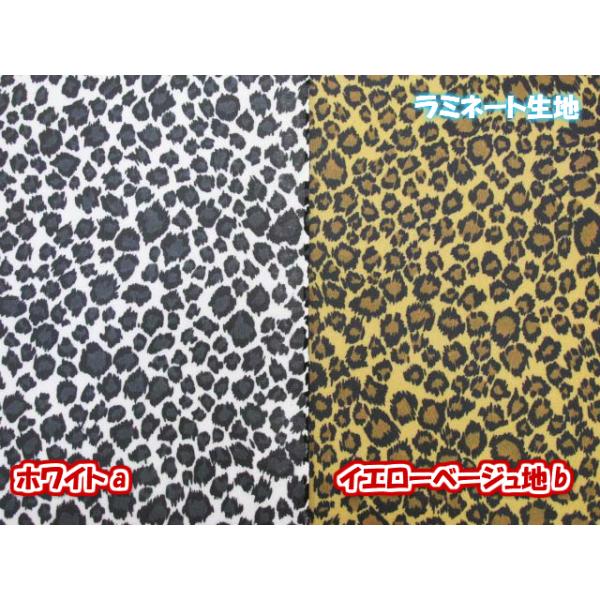 Aj}vg@qEEIp[h@cCn@~l[g@