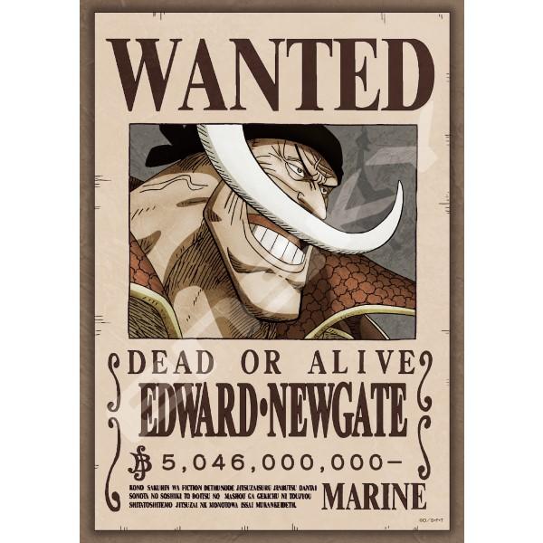 ワンピース ジグソーパズル 懸賞当選品