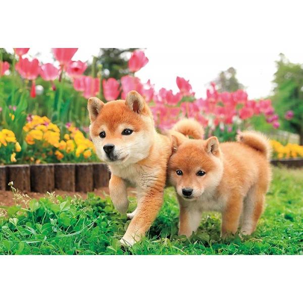 WO\[pY 300s[X ɑ! (26x38cm) @25-184(G|bN)60cm
