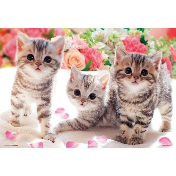 ジグソーパズル 300ピース ねこ あそんでにゃ (26x38cm)　P33-118(ビバリー)梱60cm