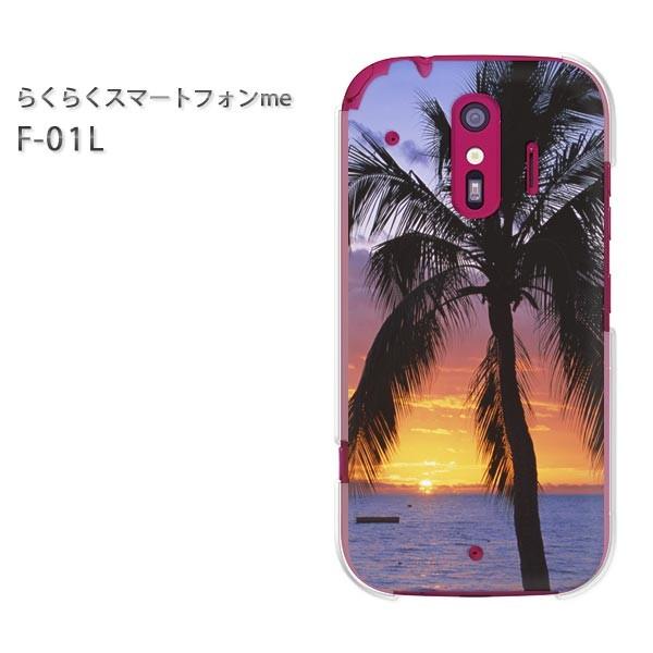  F-01L X}zJo[ X}zP[X 炭炭X}[gtHme āEVvE[EV̖(EIW)/f01l-pc-new0392