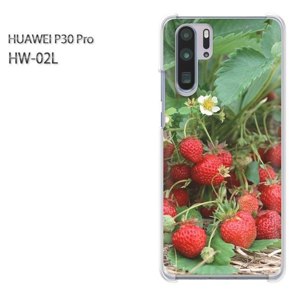  P30 Pro P[X Jo[ HW-02L HUAWEI fUC 䂤pPXC[cEiԁj/hw02l-pc-new0384