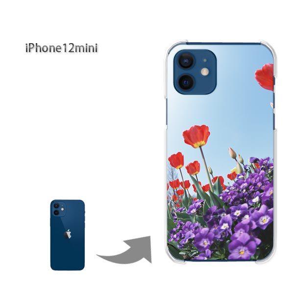  iPhone12mini P[X Jo[ ACtH n[hP[X fUC (ԁE)/i12mini-pc-new1528