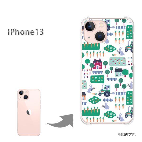  iPhone13 Jo[ n[hP[X fUC ()/i13-pc-new0968