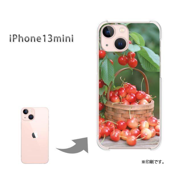  iPhone13mini Jo[ n[hP[X fUC  XC[cE()/i13mini-pc-ne042