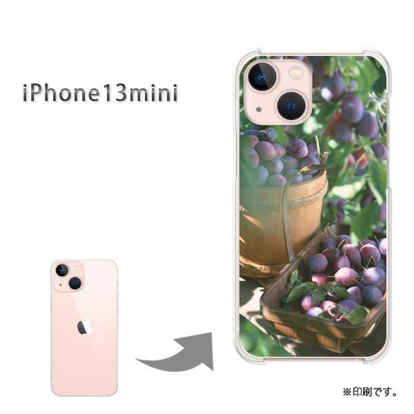  iPhone13mini Jo[ n[hP[X fUC XC[c()/i13mini-pc-new0382
