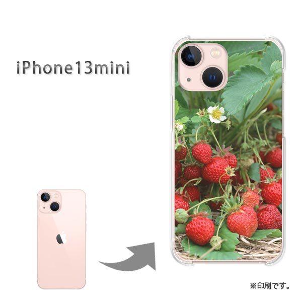  iPhone13mini Jo[ n[hP[X fUC XC[cEiԁj/i13mini-pc-new0384