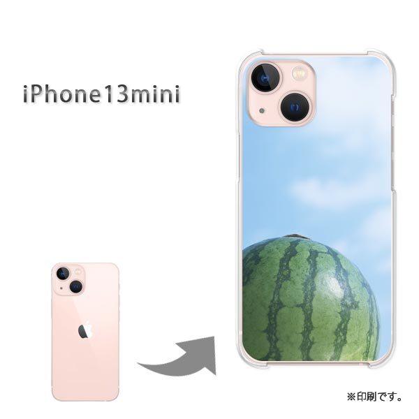  iPhone13mini Jo[ n[hP[X fUC VvEāEXCJ(u[)/i13mini-pc-new1500