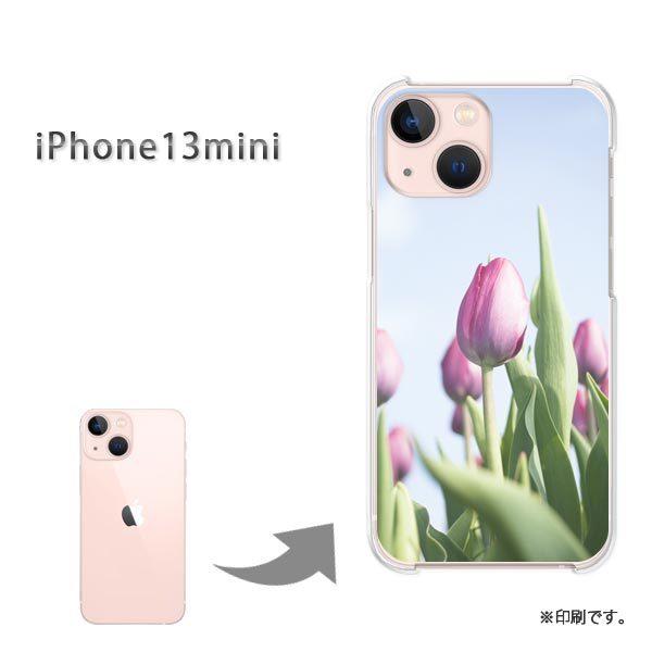  iPhone13mini Jo[ n[hP[X fUC ԁE`[bv(sN)/i13mini-pc-new1539