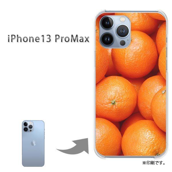  iPhone13ProMAX Jo[ n[hP[X fUC XC[cEIW/i13promax-pc-new0799