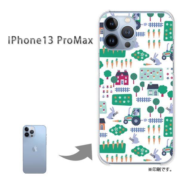  iPhone13ProMAX Jo[ n[hP[X fUC ()/i13promax-pc-new0968