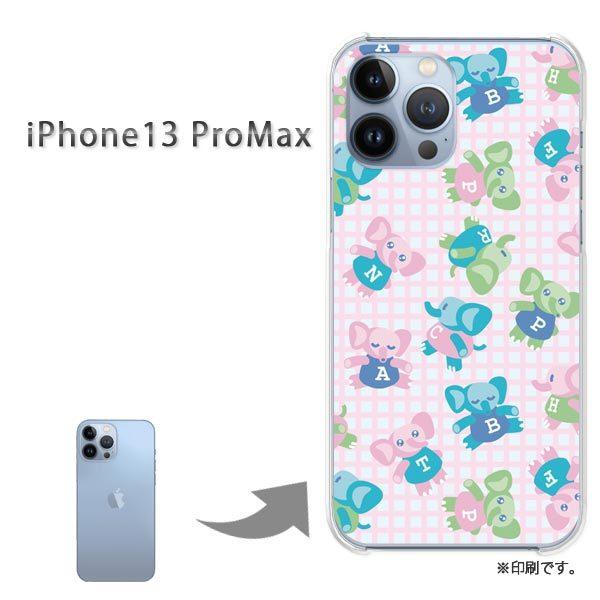  iPhone13ProMAX Jo[ n[hP[X fUC 119/i13promax-PM119