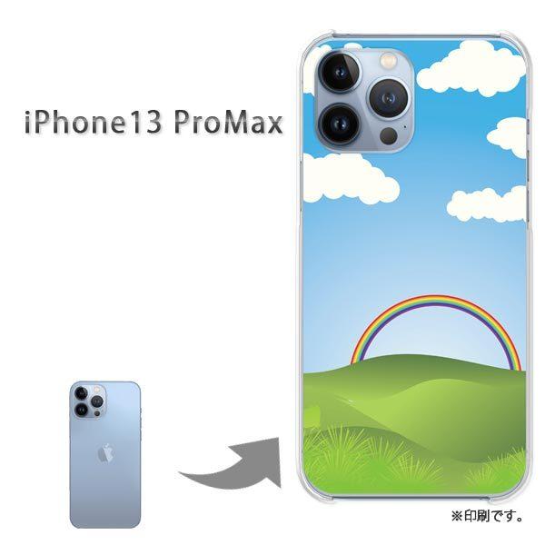  iPhone13ProMAX Jo[ n[hP[X fUC 306/i13promax-PM306