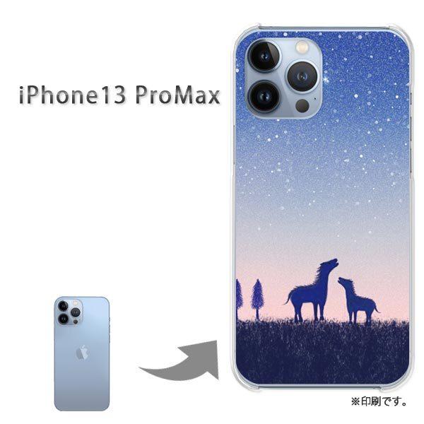  iPhone13ProMAX Jo[ n[hP[X fUC n358/i13promax-PM358