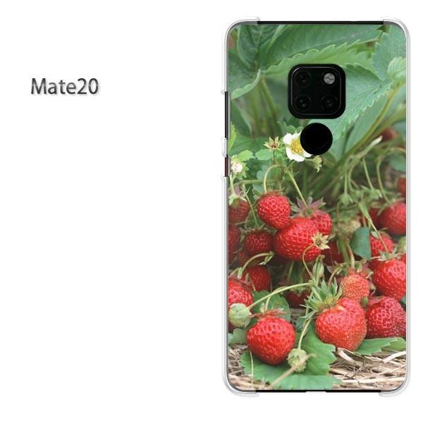  Mate10Pro P[X X}zJo[ HUAWEI n[hP[X XC[cEiԁj/mate20-pc-new0384