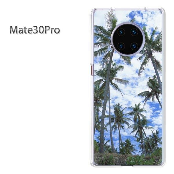  Mate30Pro P[X Jo[ fUC āEVvEV̖؁E(u[)/mate30pro-pc-new0387