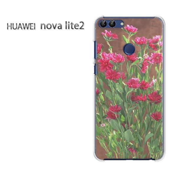 ���� nova lite2  HUAWEI  ��(��)/novalite2-pc-new0810