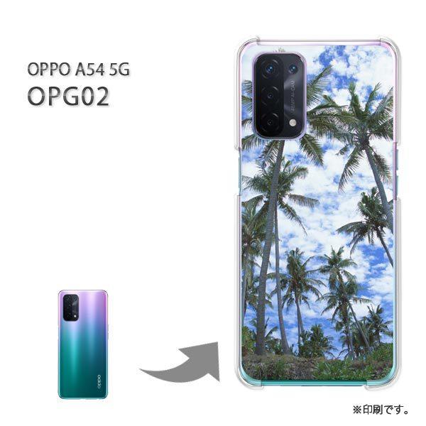  OPPO A54 5G OPG02 P[X Jo[ n[hP[X fUC āEVvEV̖؁E(u[)/opg02-pc-new0387