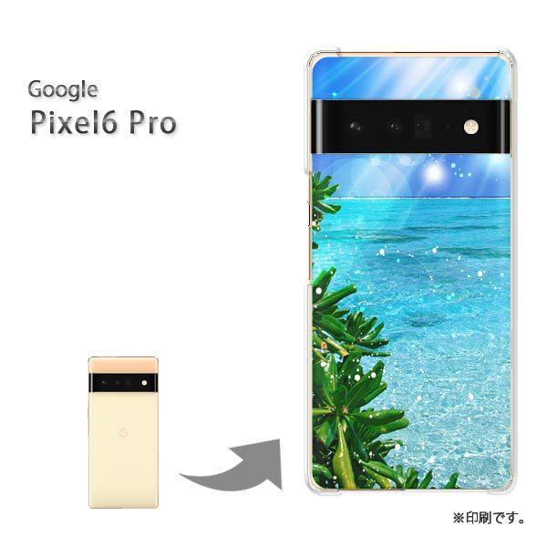  pixel6proPro Google sNZ6v Jo[ n[hP[X fUC  āECEVviu[j/pixel6pro-pc-ne250