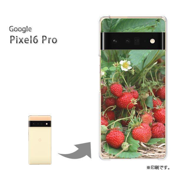  pixel6proPro Google sNZ6v Jo[ n[hP[X fUC XC[cEiԁj/pixel6pro-pc-new0384