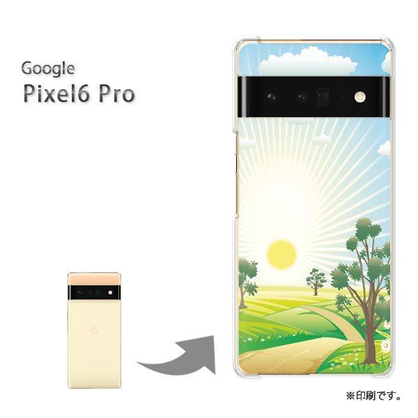pixel6proPro Google �s�N�Z��6�v�� �J�o�[ �n�[�h�P�[�X �f�U�C�� ���z299/pixel6pro-PM299