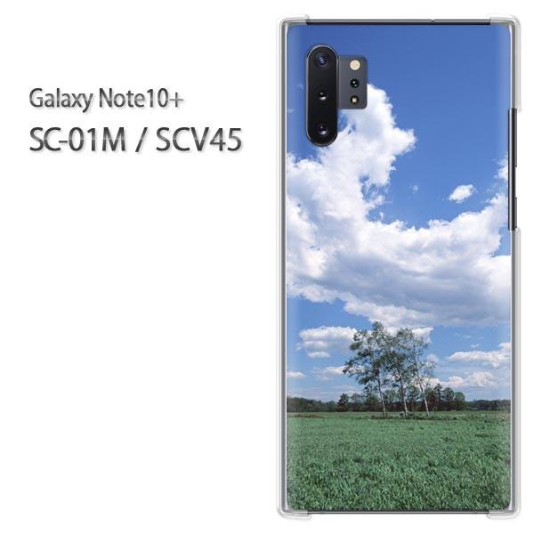  Galaxy Note10+ SC-01M SCV45 MNV[ m[g10vX  EVv(u[)/sc01m-pc-new0184