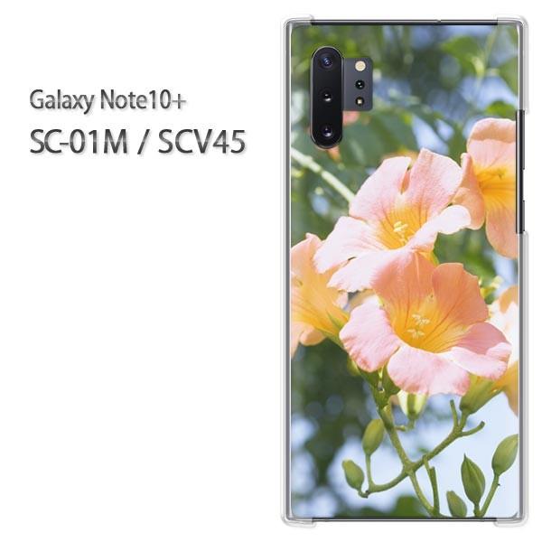  Galaxy Note10+ SC-01M SCV45 MNV[ m[g10vX  (sN)/sc01m-pc-new1545