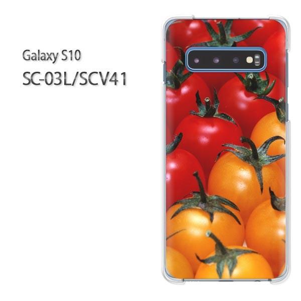  Galaxy S10 SC-03L SCV41 MNV[ galaxys10  XC[cEg}g(ԁE)/sc03l-pc-new0866