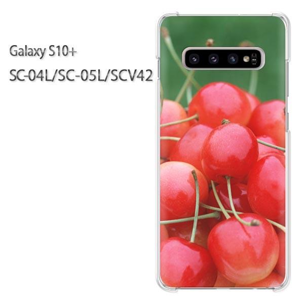 Galaxy S10+ SC-04L SC-05L SCV42 �M�����N�V�[ galaxys10plus  �X�C�[�c�E��������(��)/sc04l-pc-new0566
