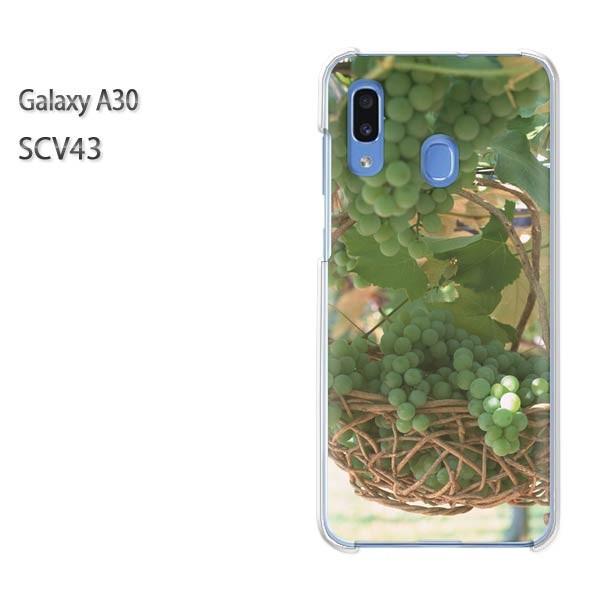  Galaxy A30 SCV43 MNV[ galaxysa30  XC[cEԂǂiO[j/scv43-pc-new0383